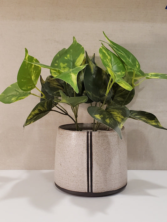 Nouvelle Stripe Ceramic Planter - Colorado Pottery