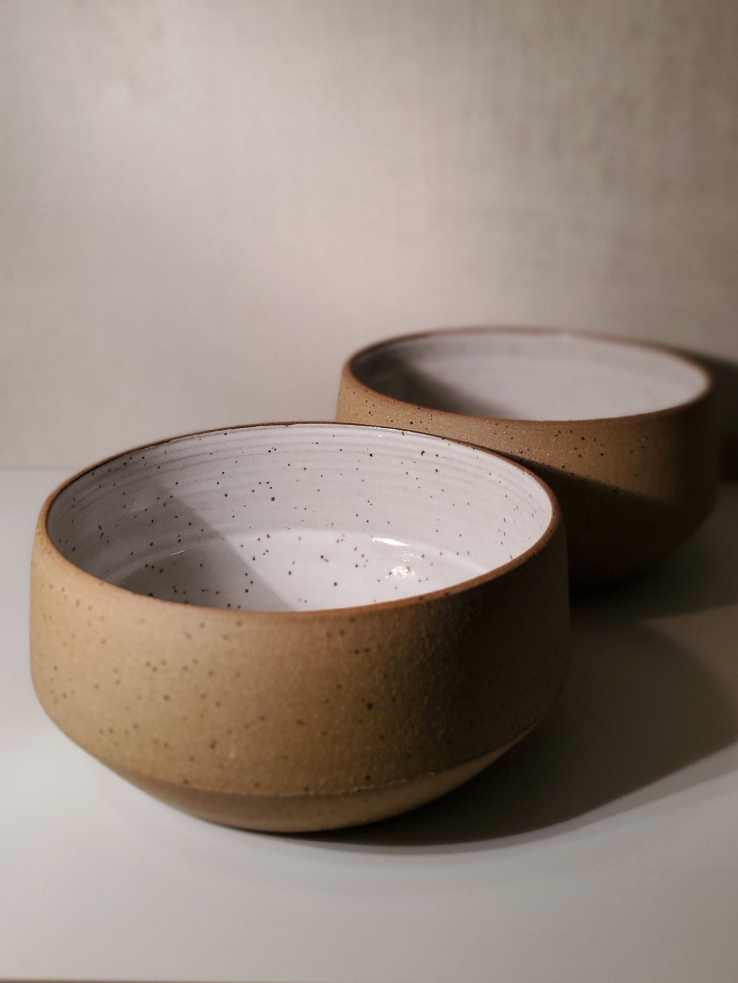 Front Range Modern Everyday Bowl - White Speckle